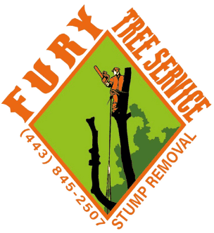 cropped-Logo-FURY-TREE-SERVICE-LLC.png
